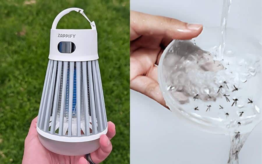 Do This, Forget About Those Blood-Sucking Mosquitoes For Good
