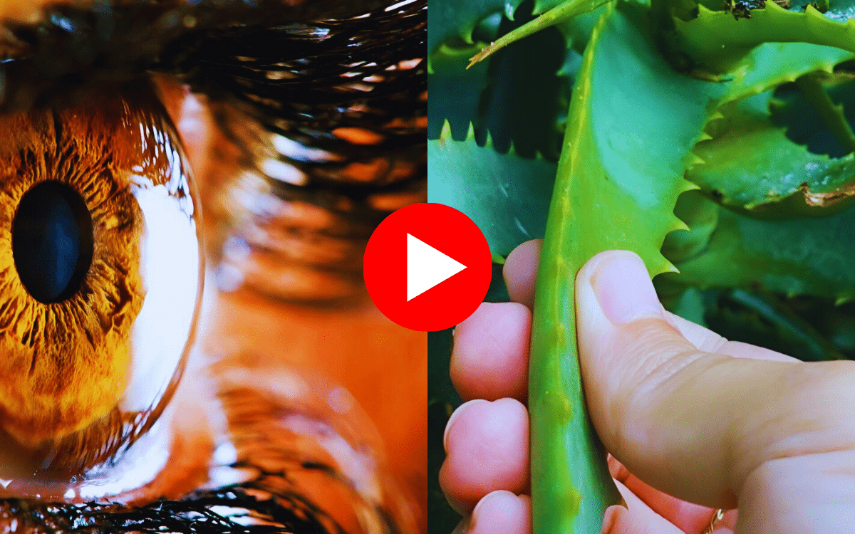 Do the Ivy League Scientists’ Trick to Reverse Vision Loss and Restore 20/20 Eyesight
