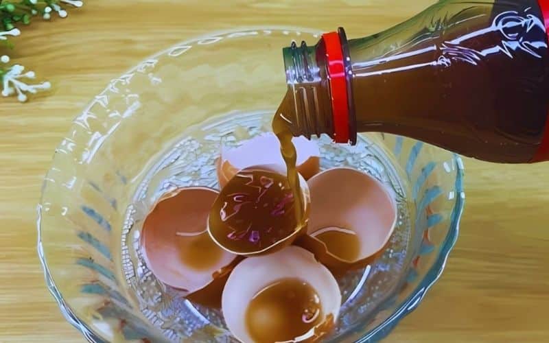 Mix Coke with Eggshells for a Natural Garden Fertilizer
