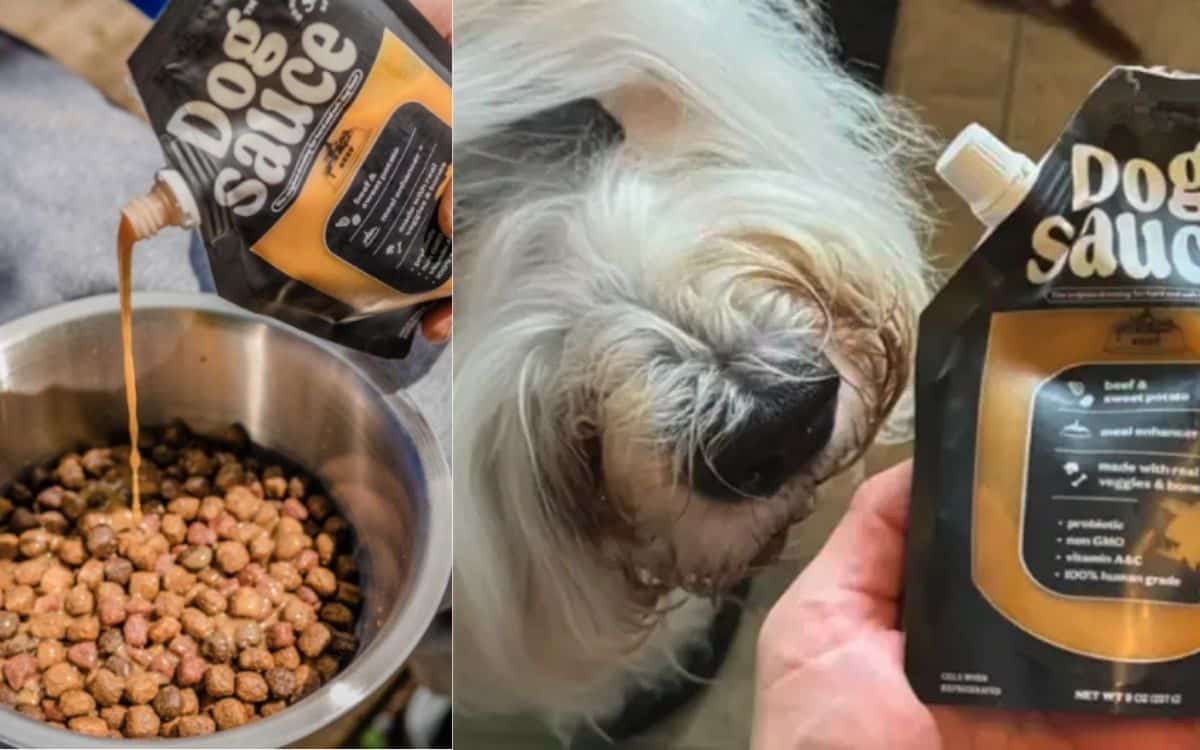 Without Proper Nutrition, Dogs Suffer in Silence - With It, They Thrive