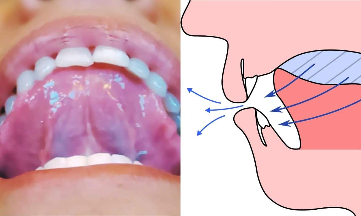 Press Your Tongue to the Roof of Your Mouth