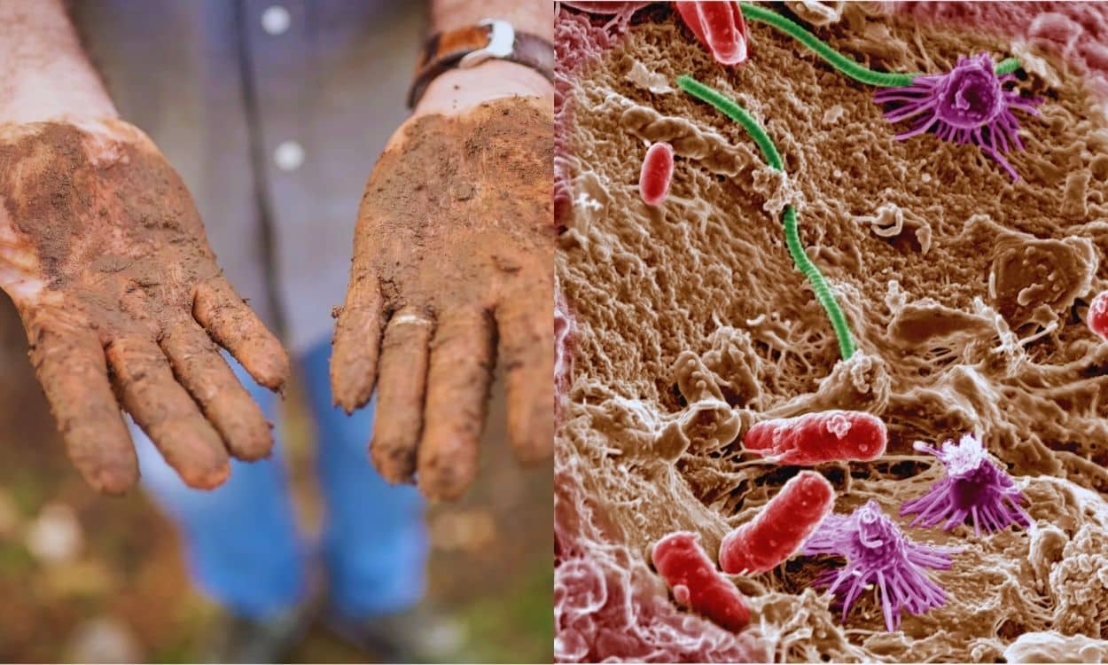 Get Your Hands in Dirt at Least Once a Week