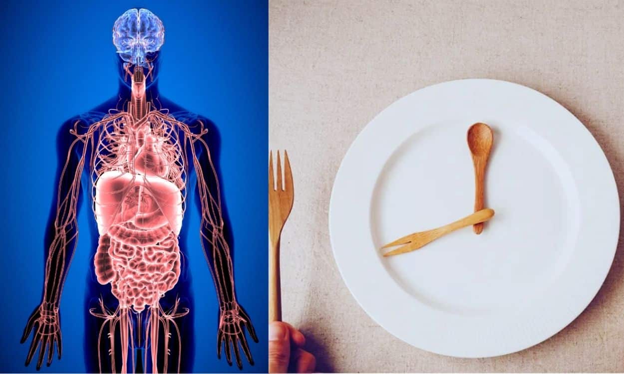 Try Going 24 Hours Without Food Once a Month